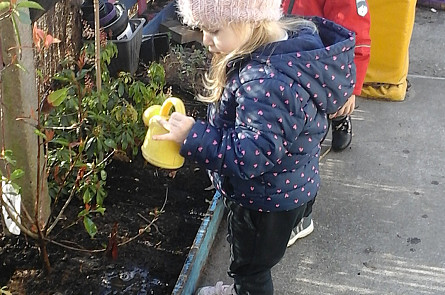 Watering our plants